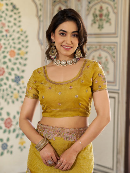 Mustard Yellow Fendy Satin Embroidered Saree with Elephant Motifs & Zari Border | Designer Festive Saree with Tassels & Heavy Embroidered Blouse