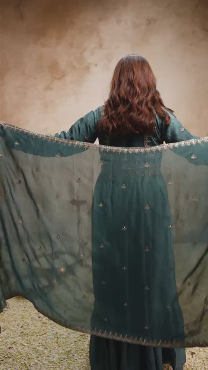 Designer Rangoli Crush Embroidered Gown with Dupatta